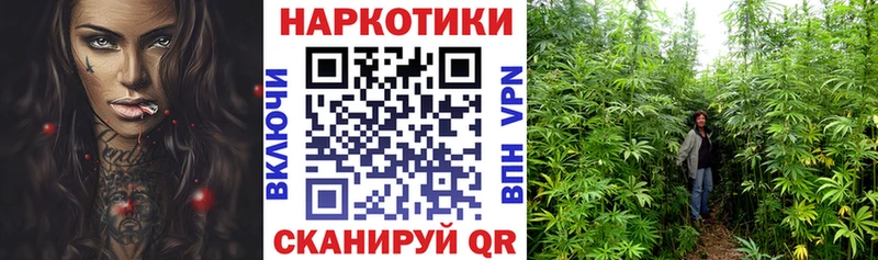 Что такое Кандалакша Каннабис  Галлюциногенные грибы  Alpha PVP  АМФЕТАМИН  Меф мяу мяу  COCAIN 