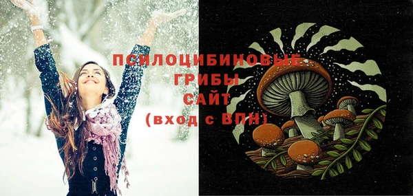 тгк Каменск-Шахтинский