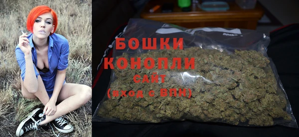 метадон Каменка