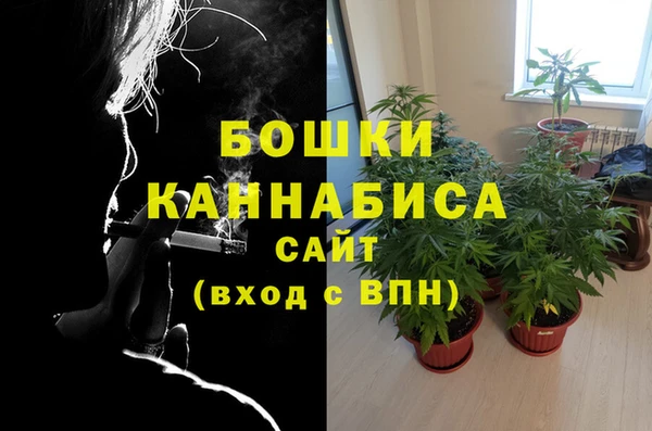 первитин Каменногорск