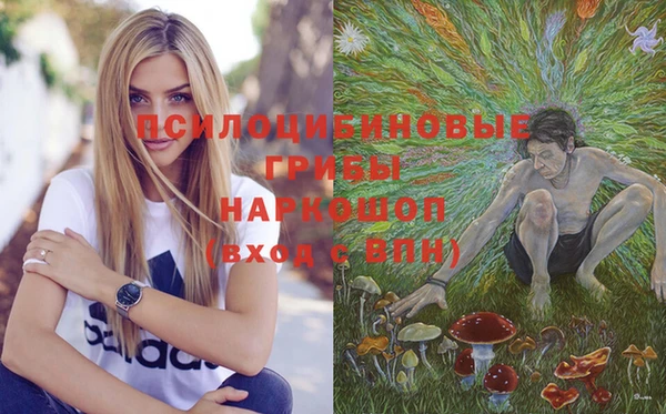 метадон Каменка