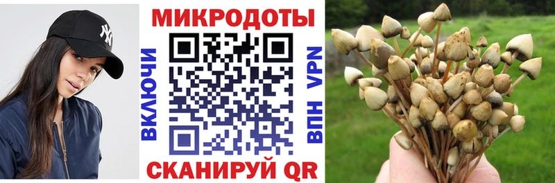 закладки  Кандалакша  Галлюциногенные грибы MAGIC MUSHROOMS 